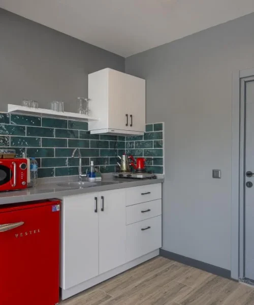 SAPANCA_KOK_NA_SU_T_202406111304506_A7405610