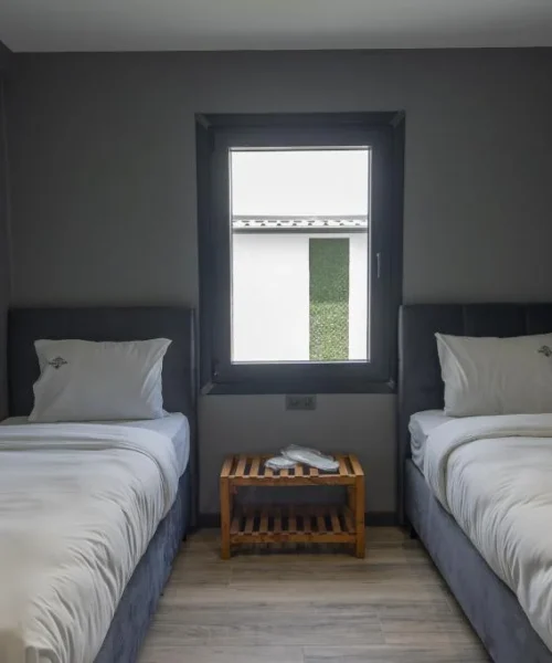 SAPANCA_KOK_NA_SU_T_202406111304506_A7405617