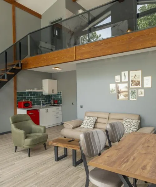 SAPANCA_KOK_NA_SU_T_202406111304506_A7405626