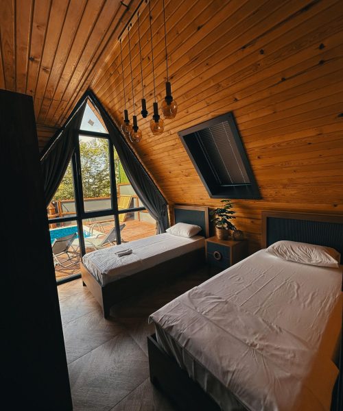 d858692a-1295-48ae-8ea2-bea6ff7d9c9e