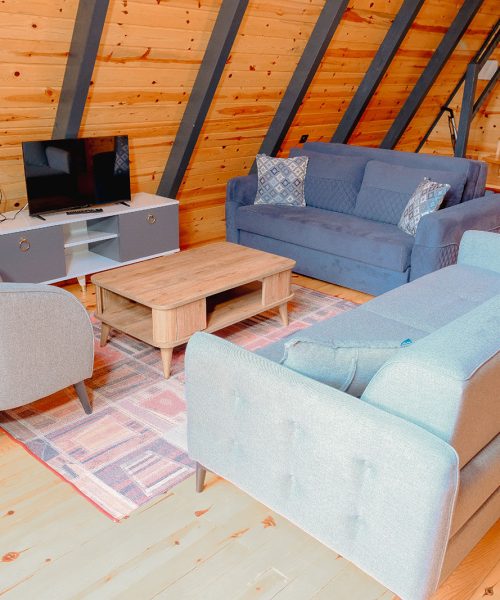 1710797207941-hatnaturel-ucgen-sapanca